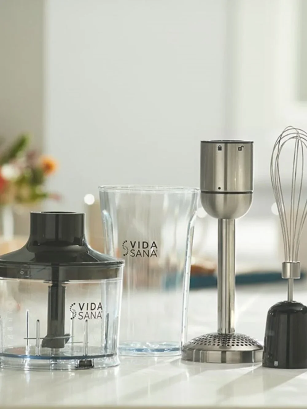 Vida Sana™ Electrics 4-in-1 Immersion Blender 5594